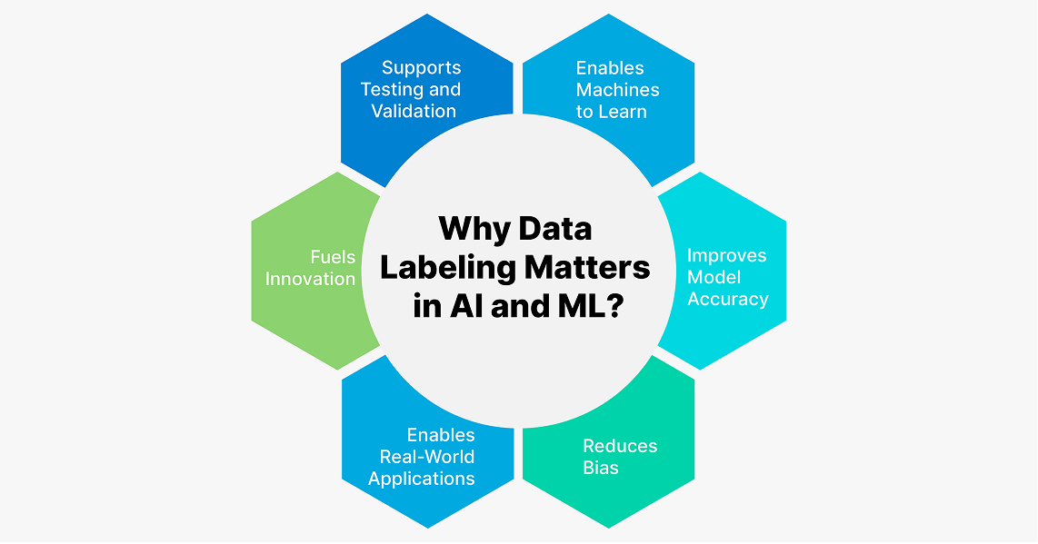 Why Data Labeling Matters in AI and ML